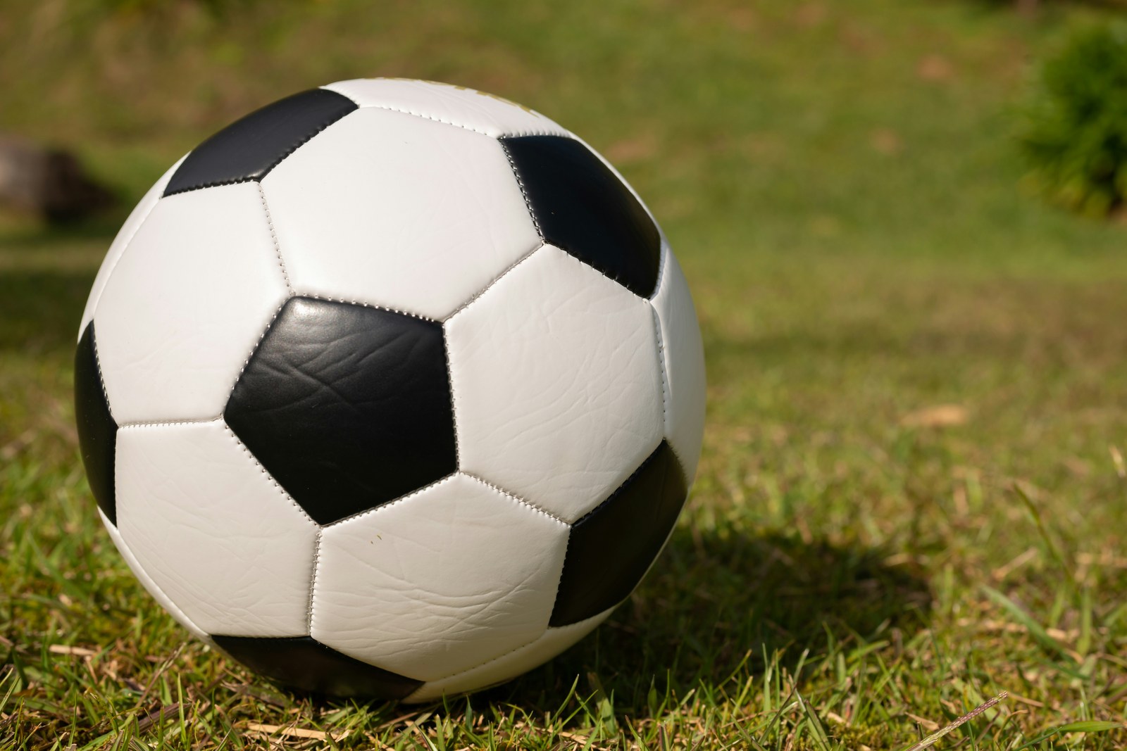 旧天空彩票 · 竞彩